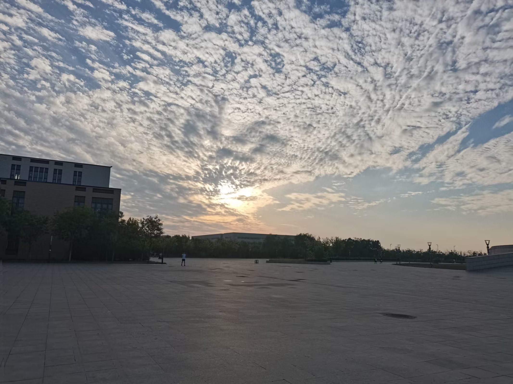 摄影图片分享