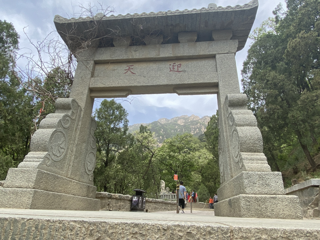 泰山