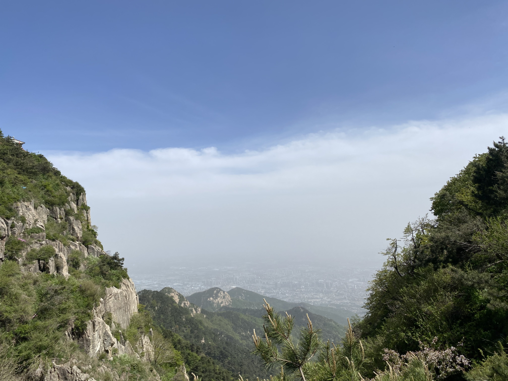 泰山
