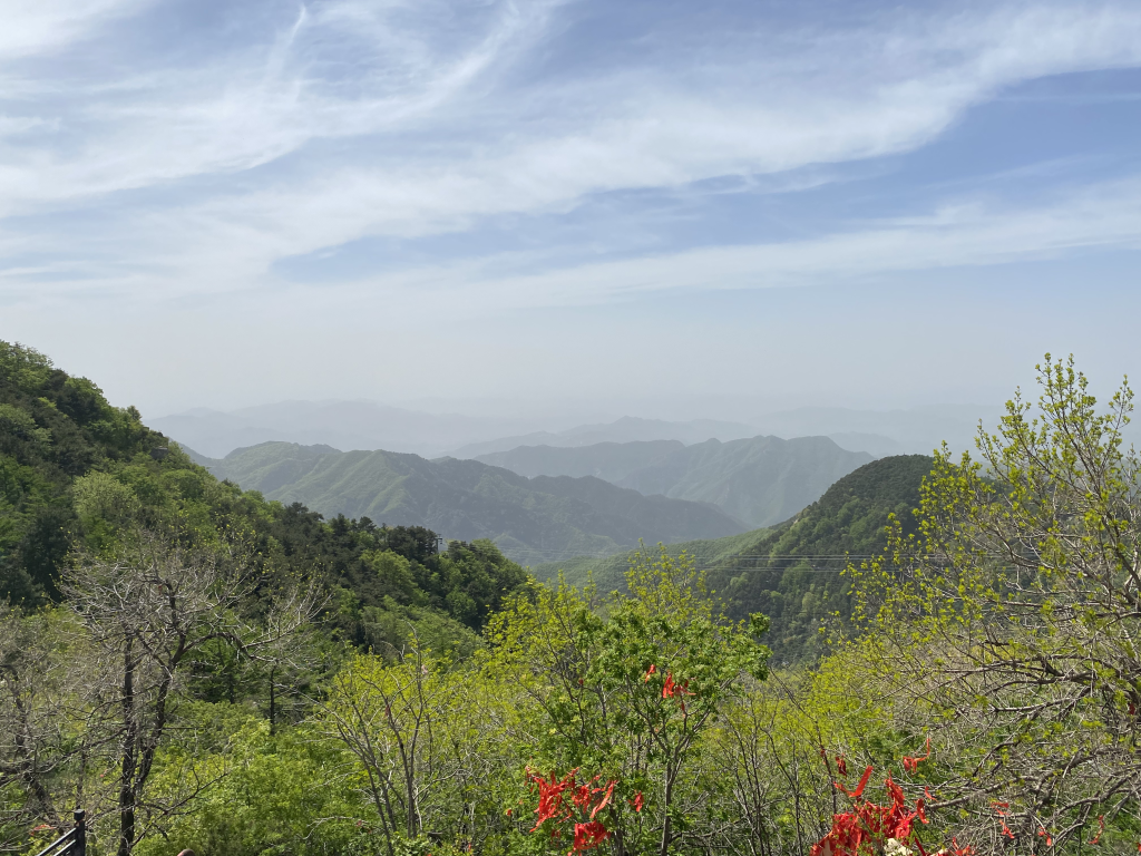 泰山