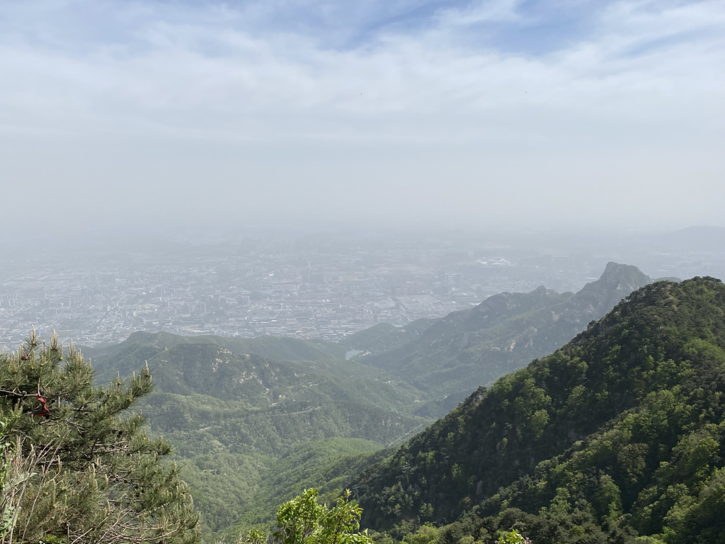 泰山