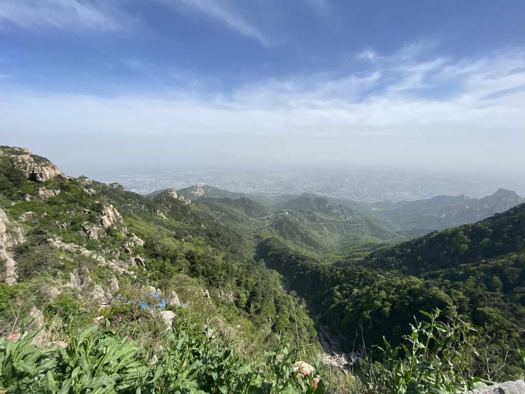 泰山