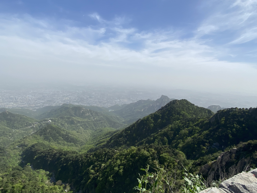 泰山