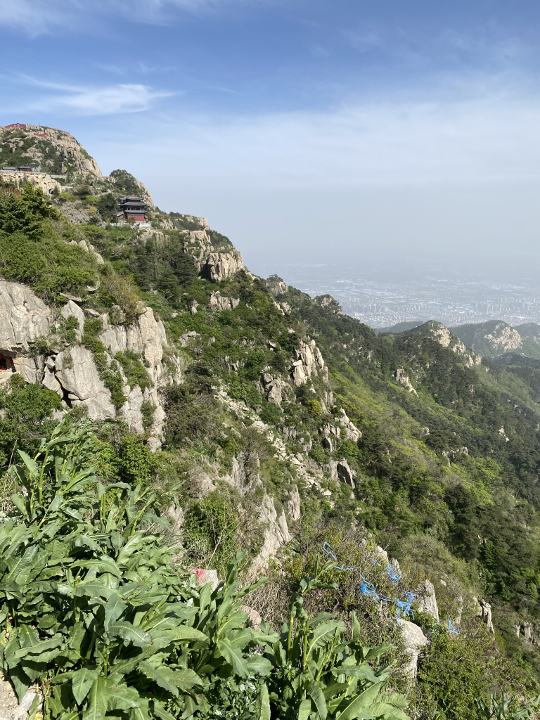 泰山