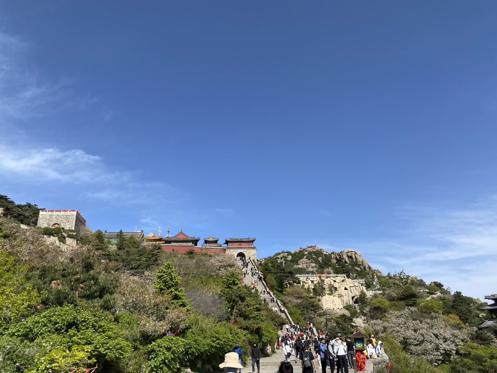 泰山