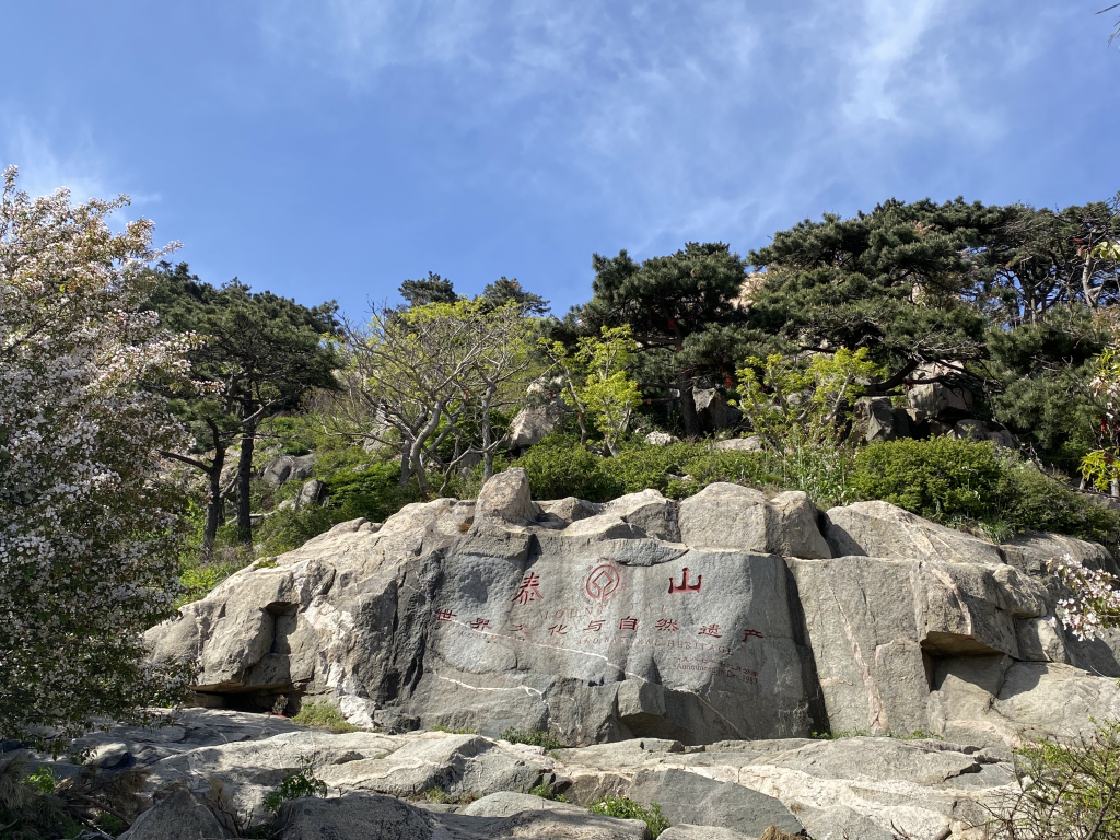 泰山