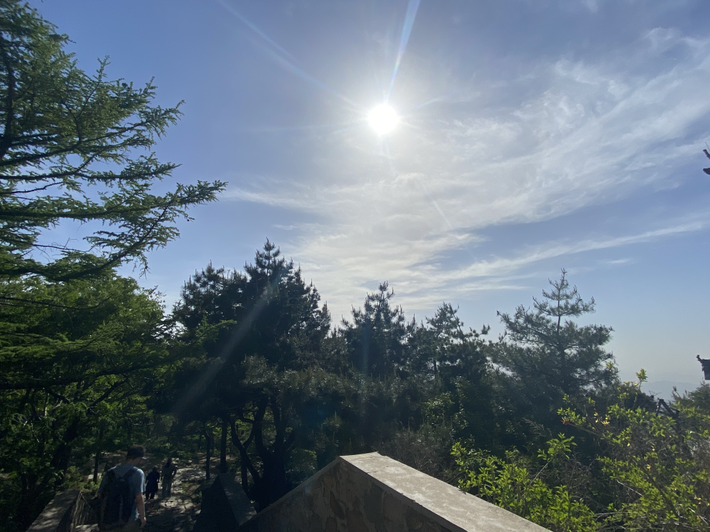 泰山