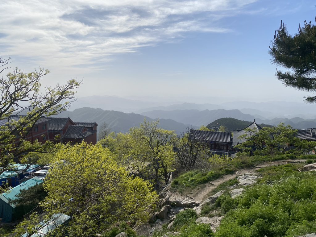 泰山