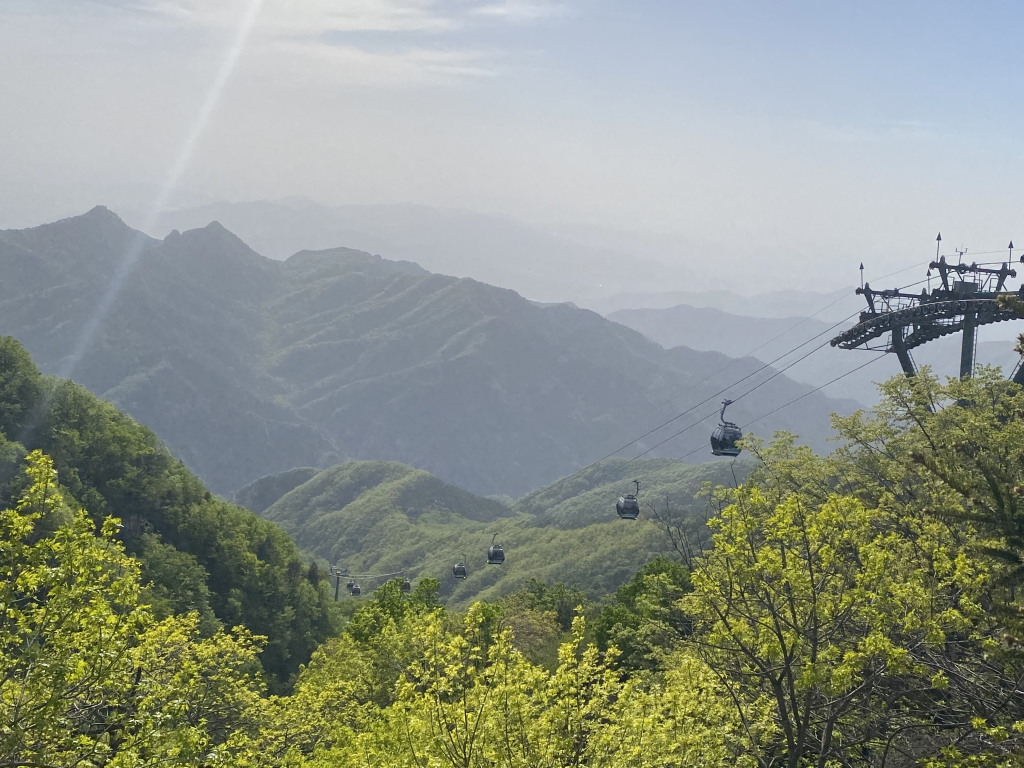 泰山