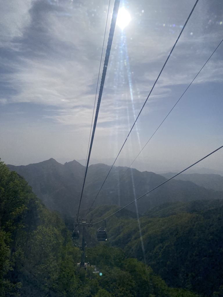 泰山